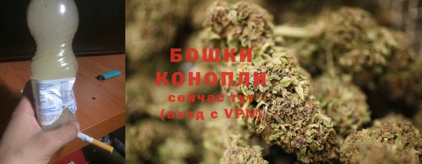 спайс Вяземский