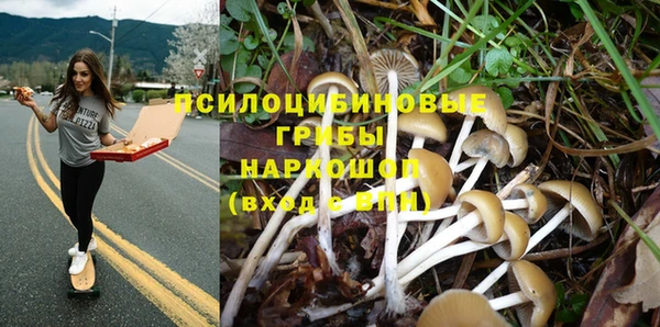 бошки Верхнеуральск