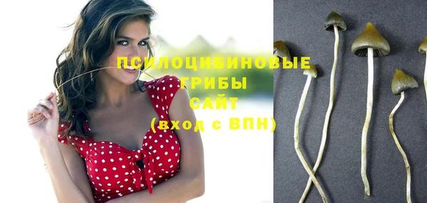 метамфетамин Сатка