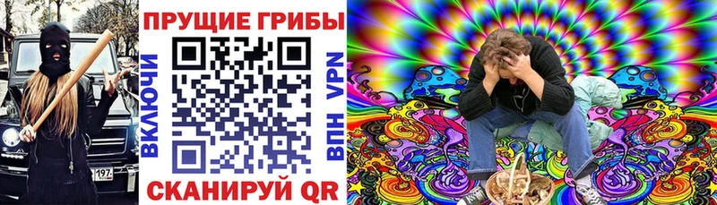 где продают наркотики  omg ТОР  Псилоцибиновые грибы Magic Shrooms  Донецк 